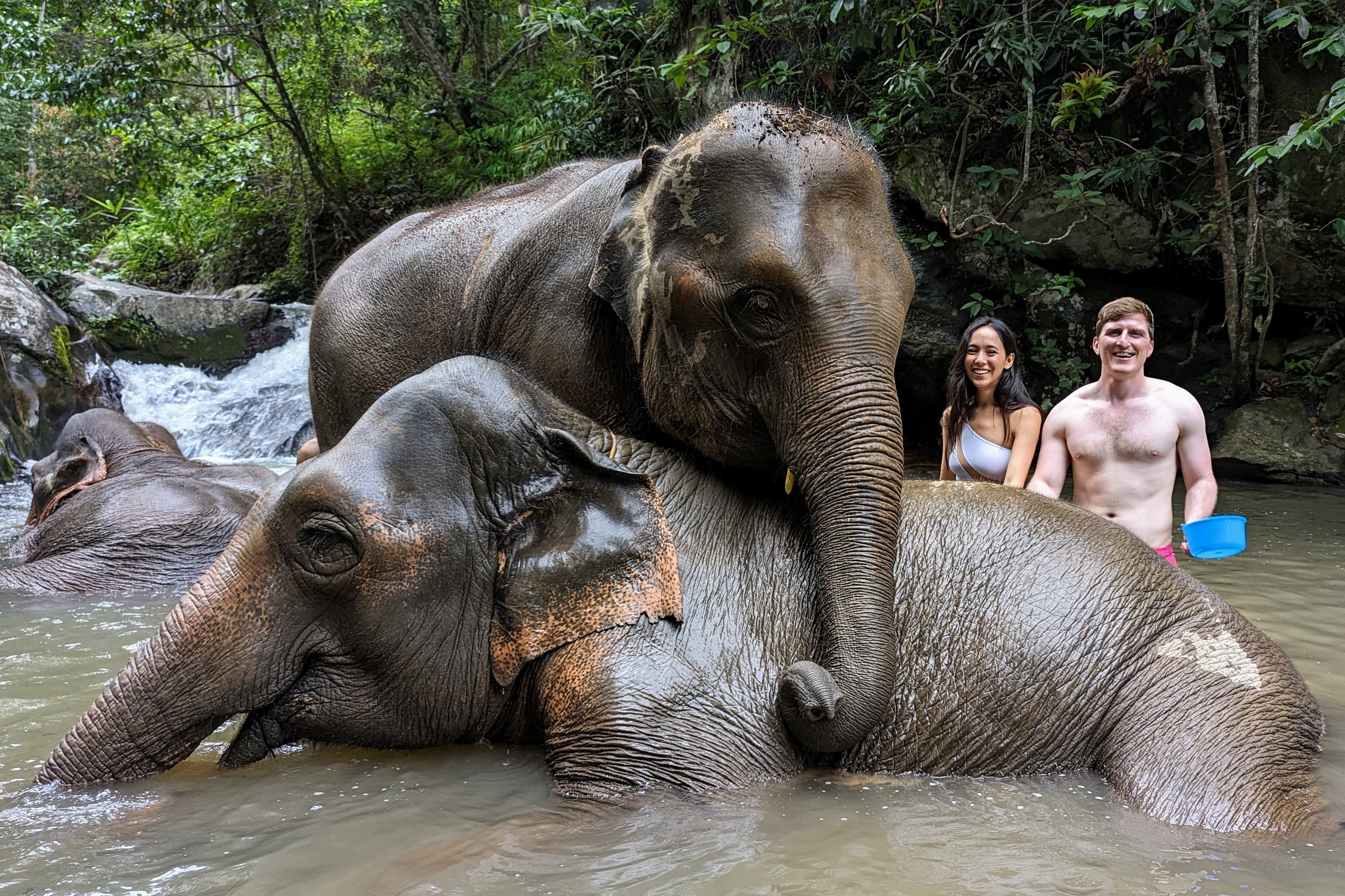 With elephants